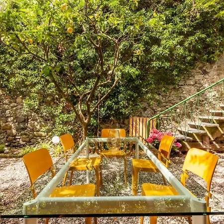 Casa, Spiaggia E Giardino: “la Rana E Il Gigante” 蒙特罗索阿尔马雷